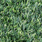 Field of Dreams Jade Grass Carpet Rolls